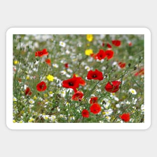 wildflower meadow Sticker